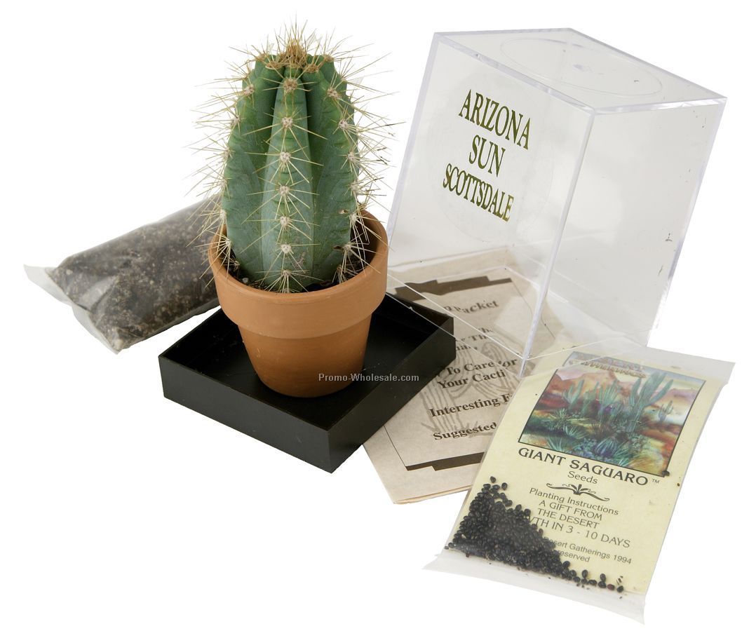 Saguaro Cactus Incubator Kit