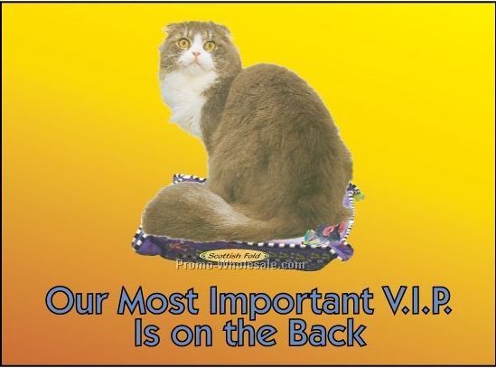 Scottish Fold Cat Rectangle Photo Hand Mirror (2-1/2"x3-1/2")