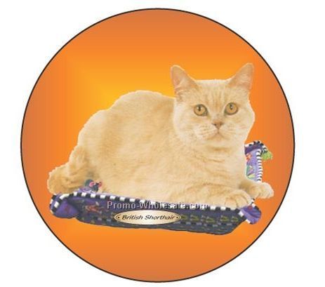 British Shorthair Cat Badge W/ Metal Pin (2-1/2")