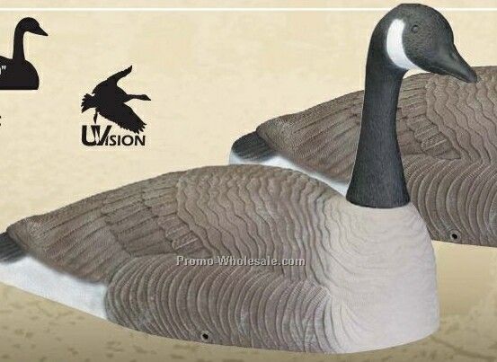 Canada Goose Decoy