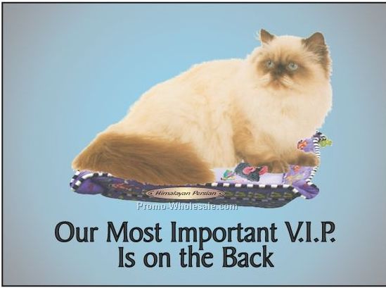 Himalayan Persian Cat Photo Hand Mirror W/ Full Back Mirror (3-1/8"x2-1/8")