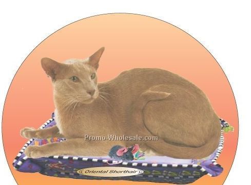 Oriental Shorthair Cat Acrylic Coaster W/ Felt Back