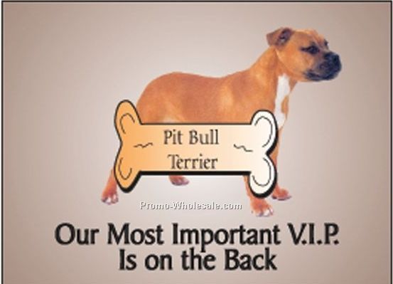 Pitbull Terrier Photo Hand Mirror W/ Full Back Mirror (3-1/8"x2-1/8")