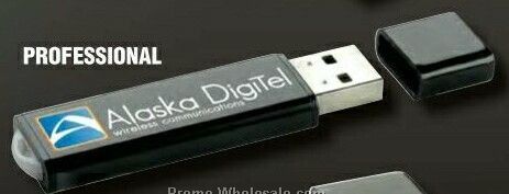 Professional USB 2.0 Flash Drive (512 Mb)