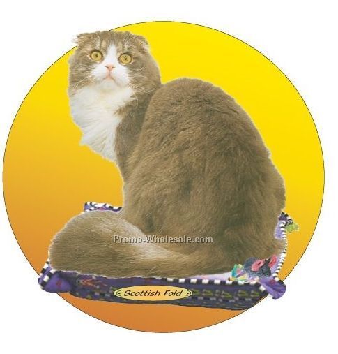Scottish Fold Cat Acrylic Coaster W/ Felt Back