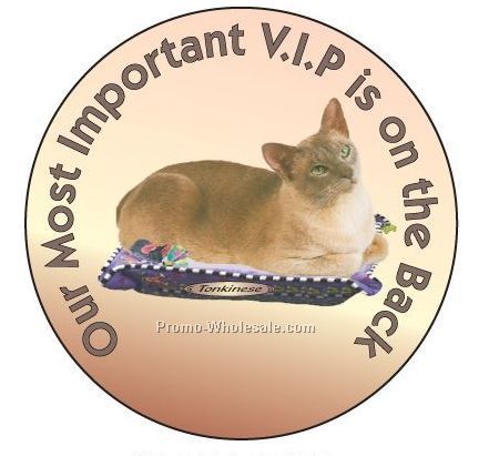 Tonkinese Cat Round Hand Mirror W/ Full Mirror Back (2-1/2")