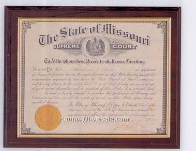 10-1/2"x13" Various Finishes & Gold Or Silver Border Certificate Plaque