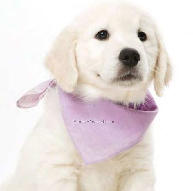 22"x22" The Loveable Pet Bandanna (Blank)