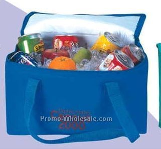 Cooler Bag (Family 12 Pack Size)