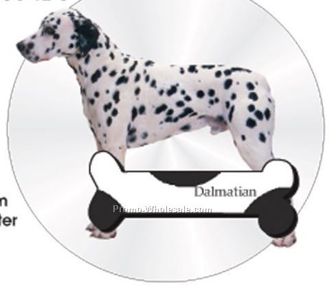 Dalmatian Acrylic Coaster W/ Felt Back