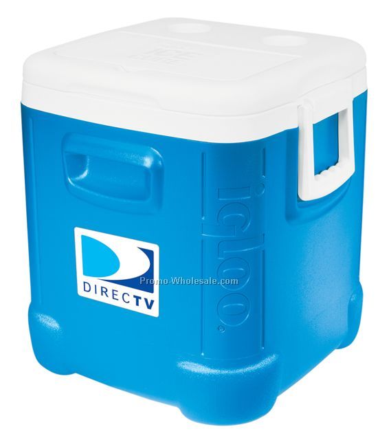 Igloo 48 Quart Ice Cube Cooler