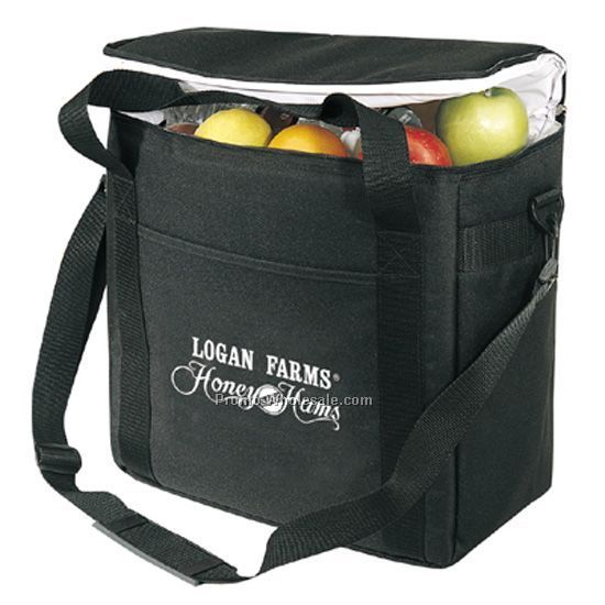 Large Picnic Cooler