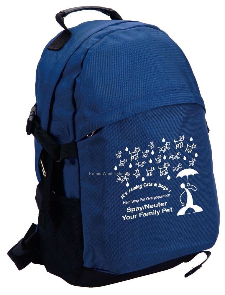 The Rugged Backpack