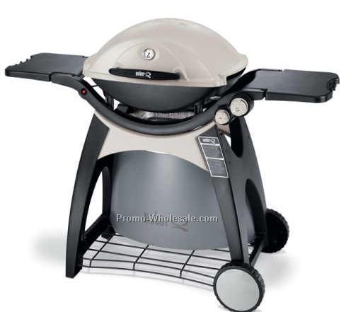 Weber Q 300 Gas Grill