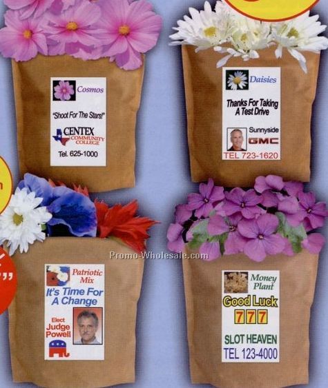 Zinnia Complete Bags That Bloom