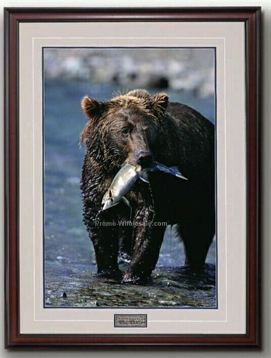 14"x20" Gift Of The Run- Alaskan Brown Bear Portrait In Wood Frame (Medium)