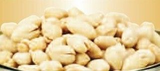 16 Oz. Salted Gourmet Virginia Peanuts In Bag