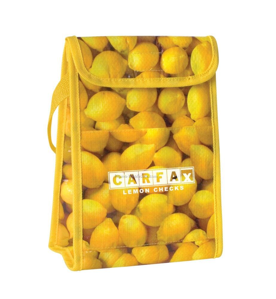 7"x9"x4" Photografx Fruity Lunch Cooler