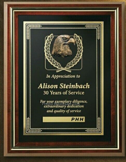 Americana Shadow Box With Glass Plaque 10-1/2"x13-1/2"