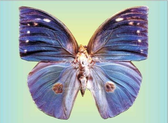 Blue Butterfly Badge W/ Metal Pin (2-1/2"x3-1/2")