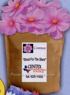 Cosmos Complete Bags That Bloom