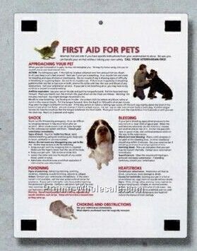 Magnetic Memo Board With First Aid For Pets Chart Back Stock Layout