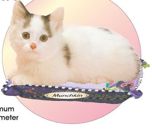 Munchkin Cat Acrylic Coaster W/ Felt Back