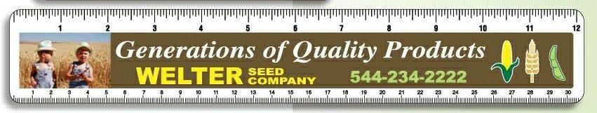 12-1/4"x2" Rectangular Plastic Ruler