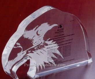 7"x4-1/2"x1" Eagle's Head Lucite Embedment