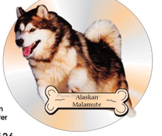Alaskan Malamute Acrylic Coaster W/ Felt Back