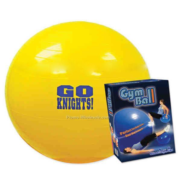 Gym Ball With Pump (Exercise Ball )