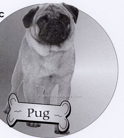 Pug Dog Acrylic Coaster W/ Felt Back