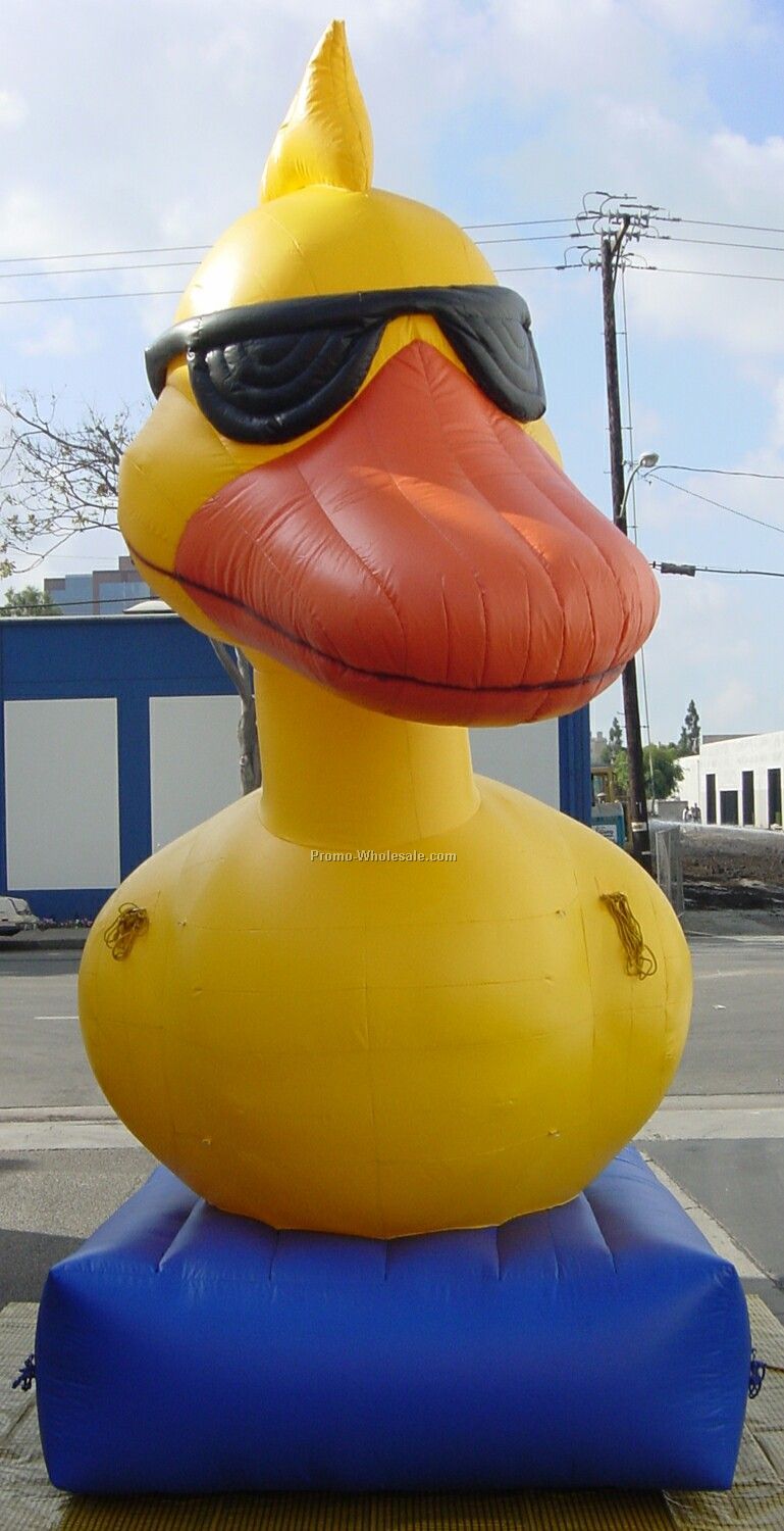 12' Duck Inflatable Cold Air