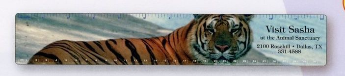 2"x12-1/4" Plastic Ruler (.010" Thick) 4 Color Process