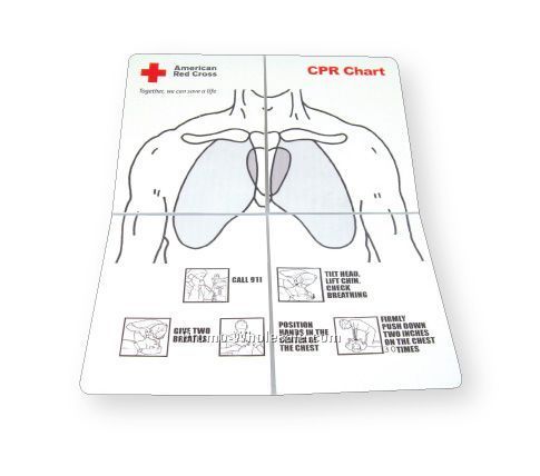 4 Sided Pocket Plastic Living Hinge Brochure