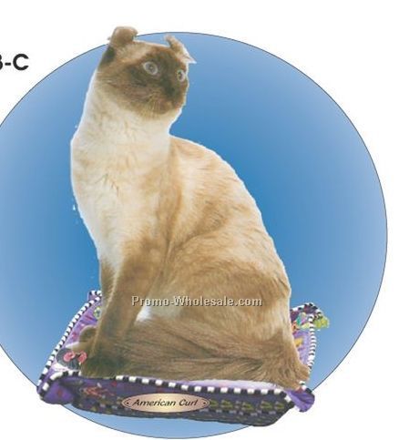 American Curl Cat Acrylic Coaster W/ Felt Back