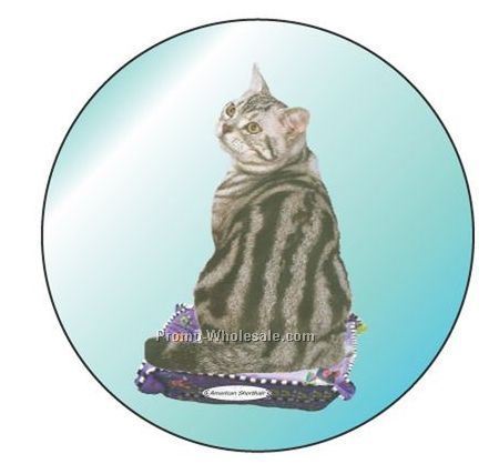 American Shorthair Cat Badge W/ Metal Pin (2-1/2")