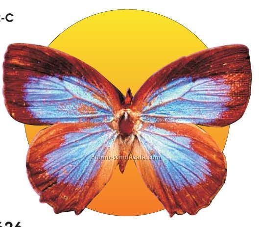 Blue & Brown Butterfly Acrylic Coaster W/ Felt Back