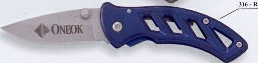 Buck Paralex Blue Frame Lock Knife