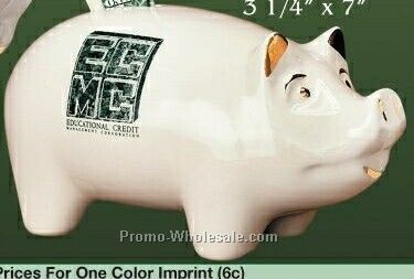 Ceramic Piggy Bank (3-1/4"x7")