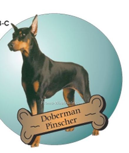 Doberman Pinscher Acrylic Coaster W/ Felt Back