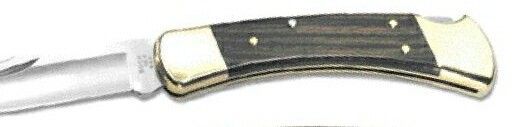 Folding Hunter Buck Knife (Laser Engraved Handle)