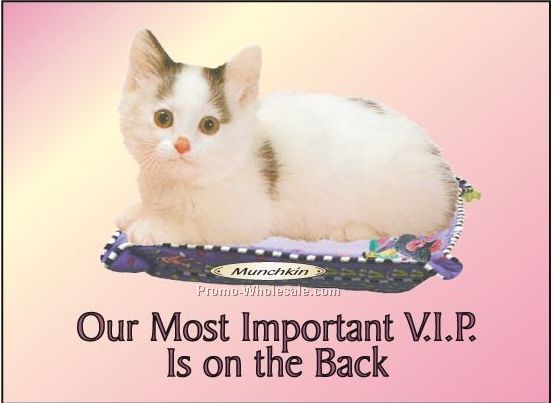 Munchkin Cat Photo Hand Mirror W/ Full Back Mirror (3-1/8"x2-1/8")