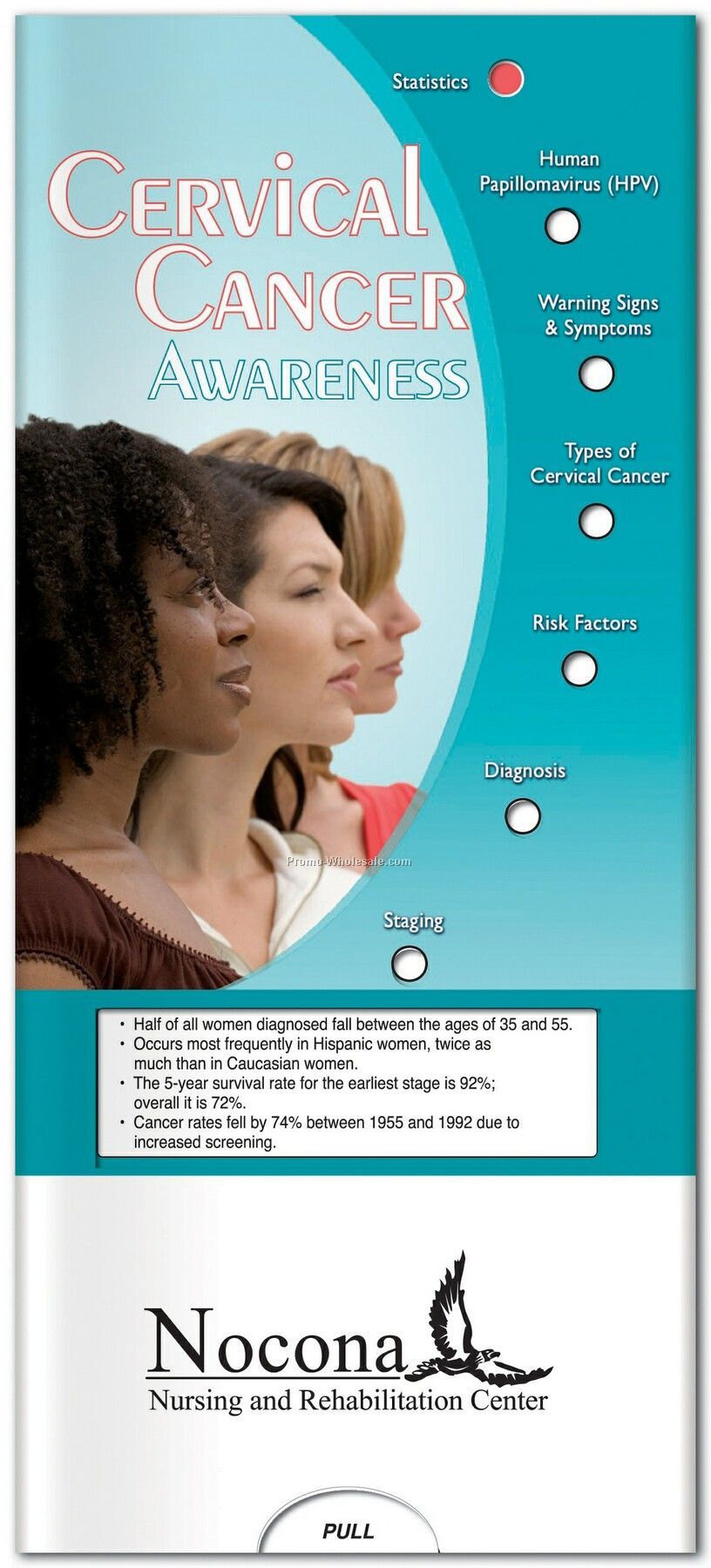 Pillowline Cervical Cancer Pocket Slider Chart