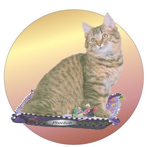 Pixiebob Cat Acrylic Coaster W/ Felt Back