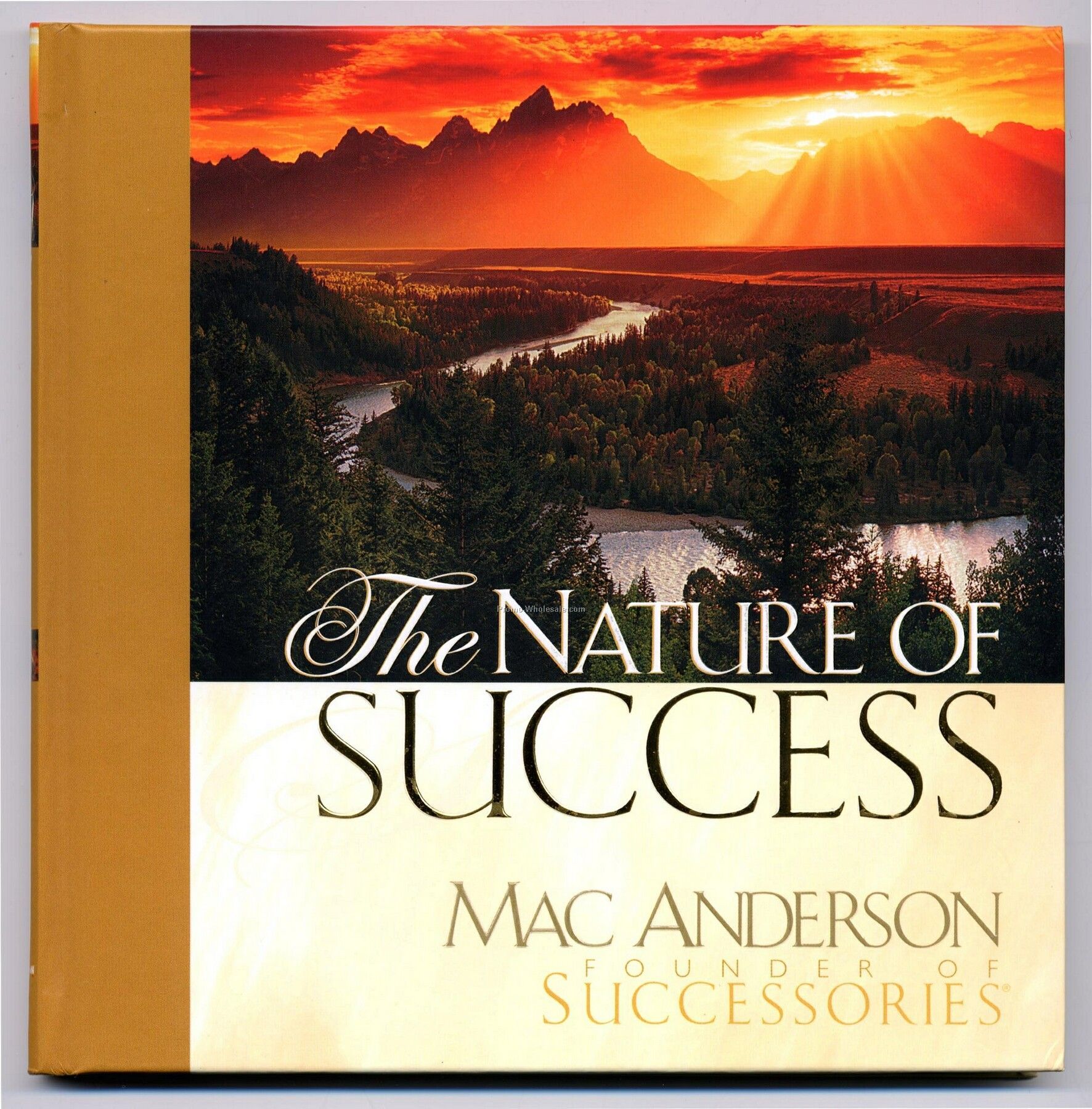 Simple Truths The Gift Of Inspiration Series - The Nature Of Success