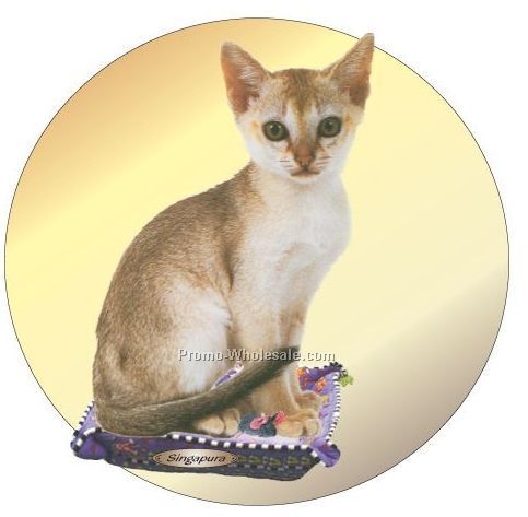 Singapura Cat Acrylic Coaster W/ Felt Back
