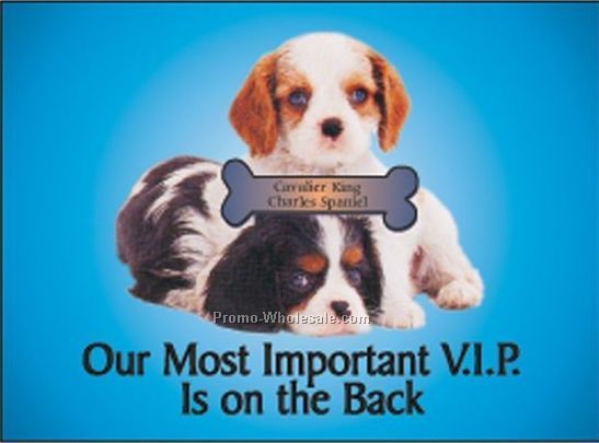 Spaniel Dog Photo Hand Mirror W/ Full Back Mirror (3-1/8"x2-1/8")