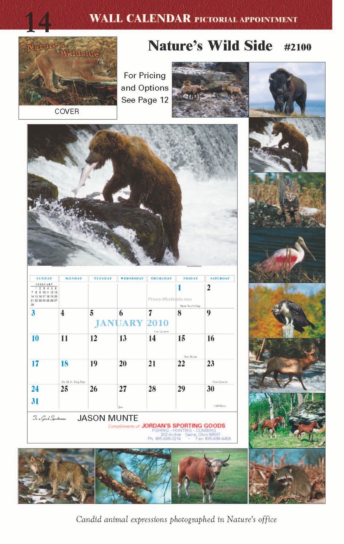 Wall Calendars: Natures Wild Side - Saddle Stitched