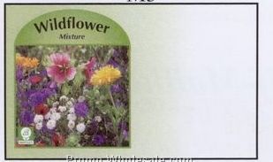 4"x6-1/2" Wild Flower Mix Self Mailer Seed Envelopes (Imprinted)